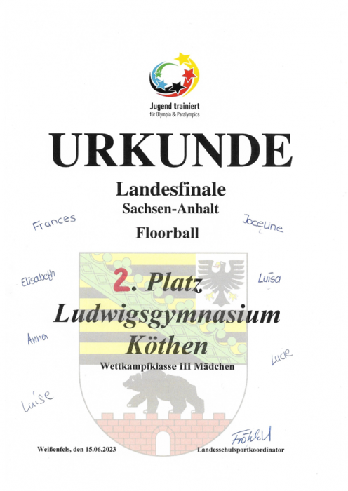 urkunde_mae_floorball.png urkunde_mae_floorball.png